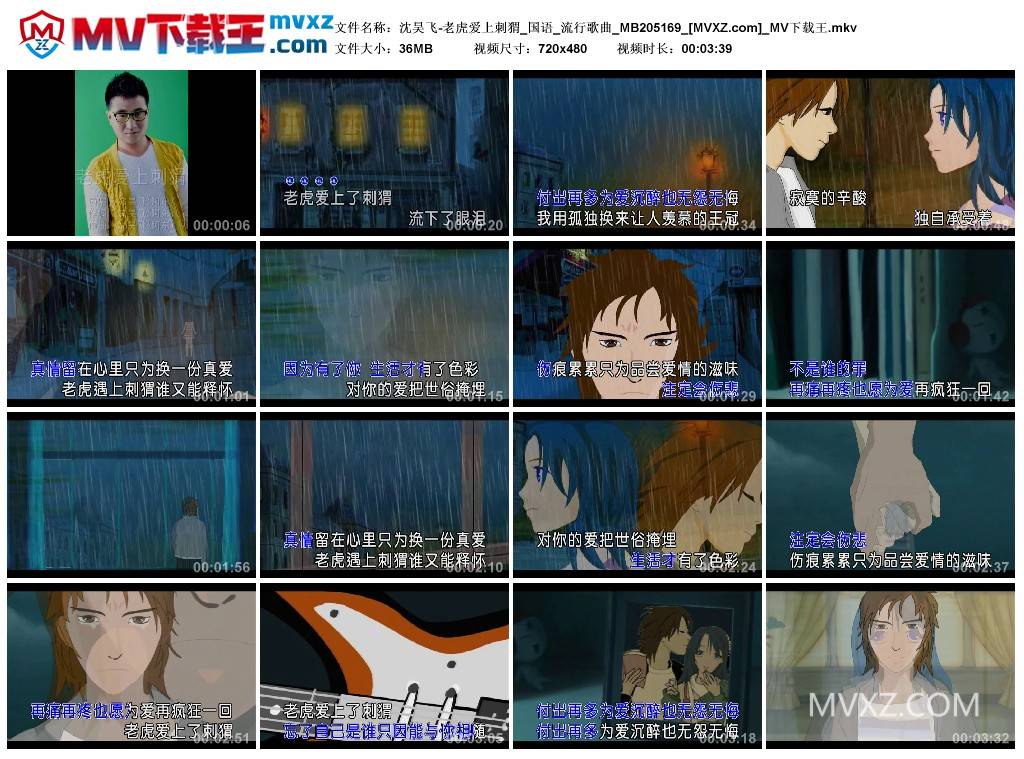 沈昊飞-老虎爱上刺猬_国语_流行歌曲_MB205169